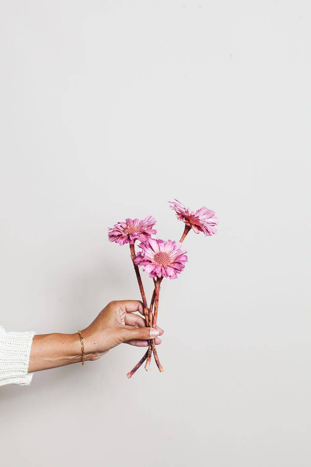 Pink Dried Protea Rosettes - by Carlyle Avenue
