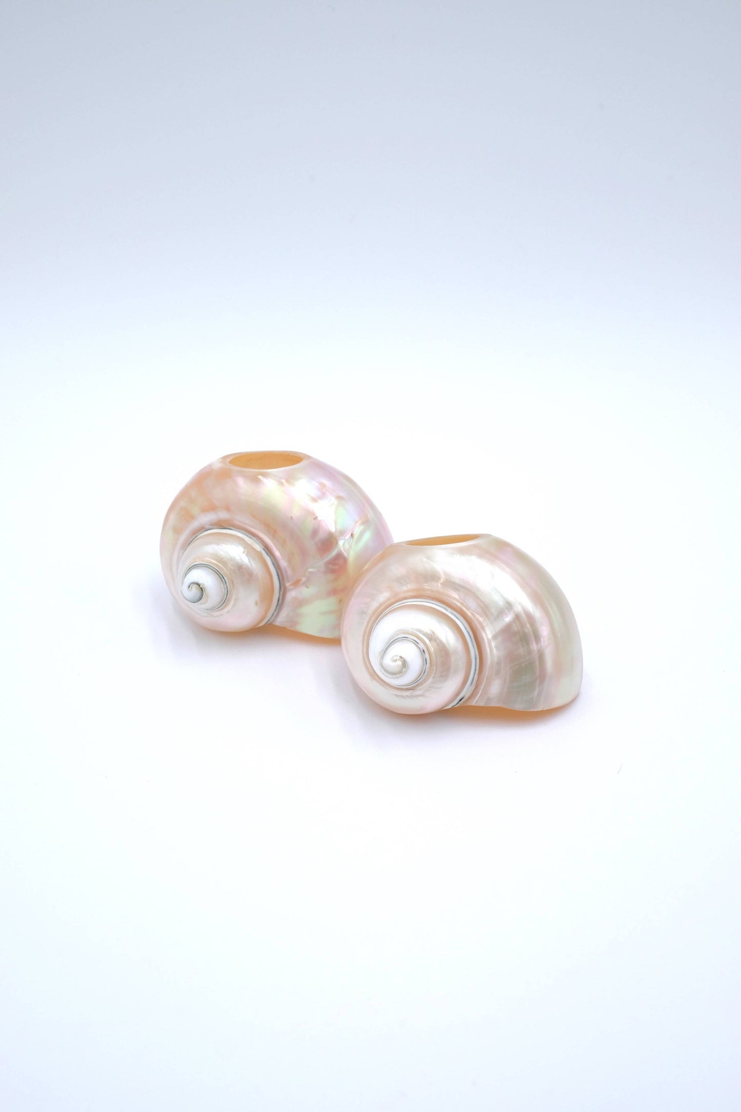Seashell Napkin Rings, Set of 4 - Napkin Rings by Carlyle Avenue