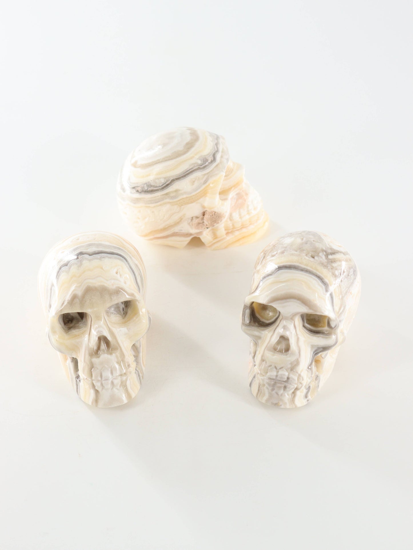 Onyx Skull - by Carlyle Avenue