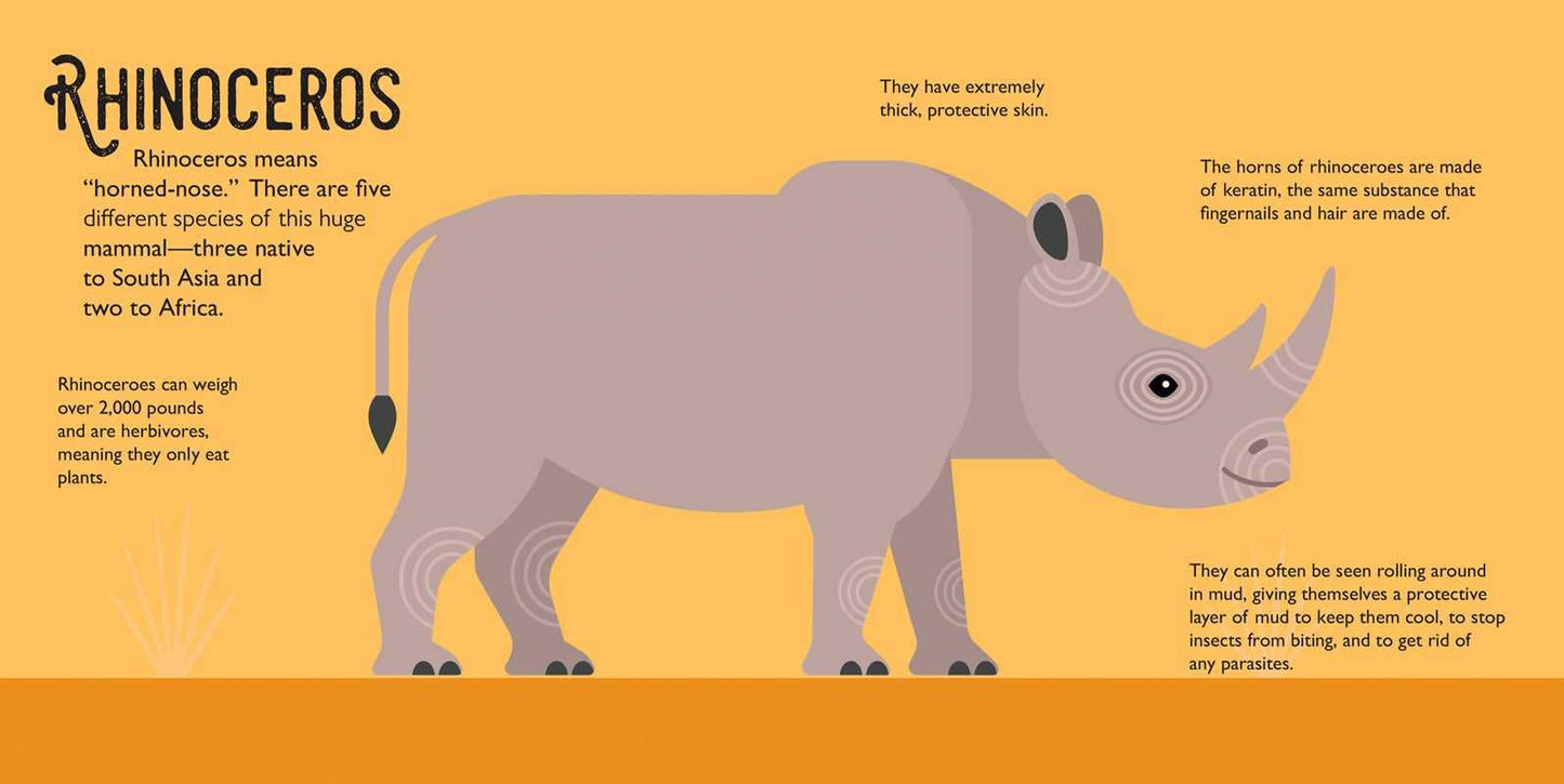 Panoramic Pop-Ups: Wild Animals by Editors of Silver Dolphin Books - by Carlyle Avenue