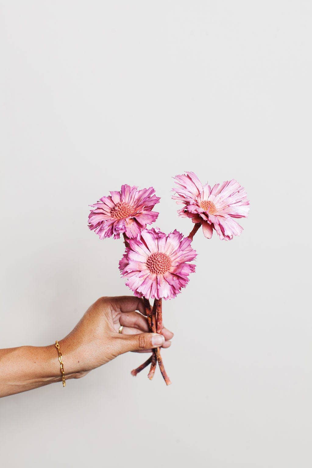 Pink Dried Protea Rosettes - by Carlyle Avenue