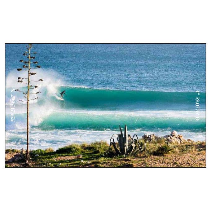 Surf & Stay - Books by Carlyle Avenue