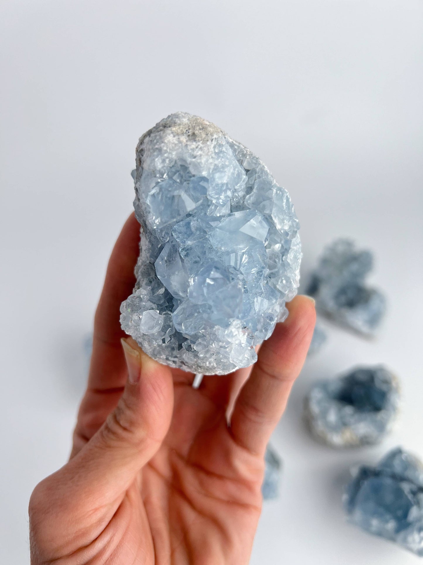 Blue Celestite Crystal Geodes - Decorative Accessories by Carlyle Avenue