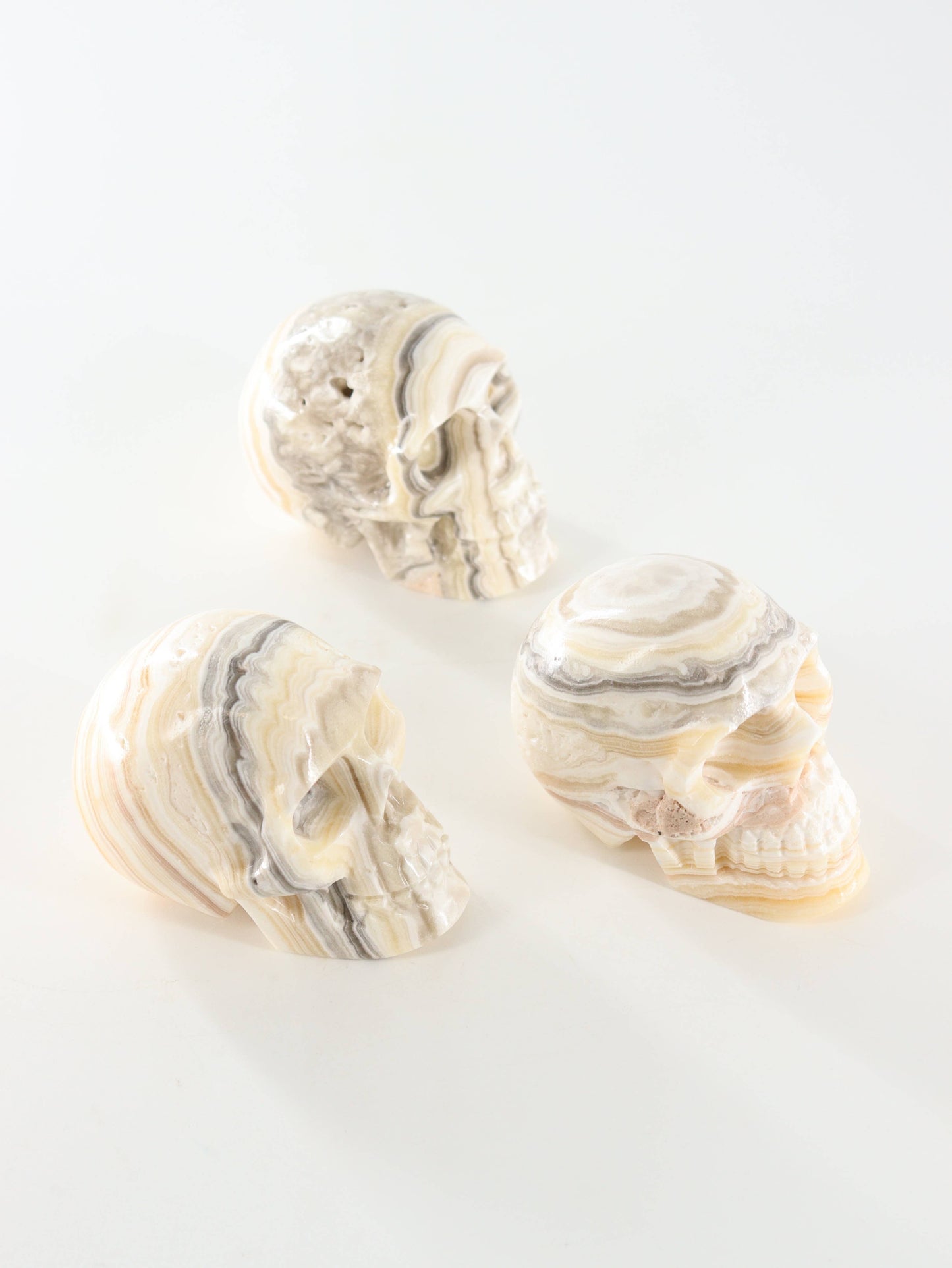 Onyx Skull - by Carlyle Avenue