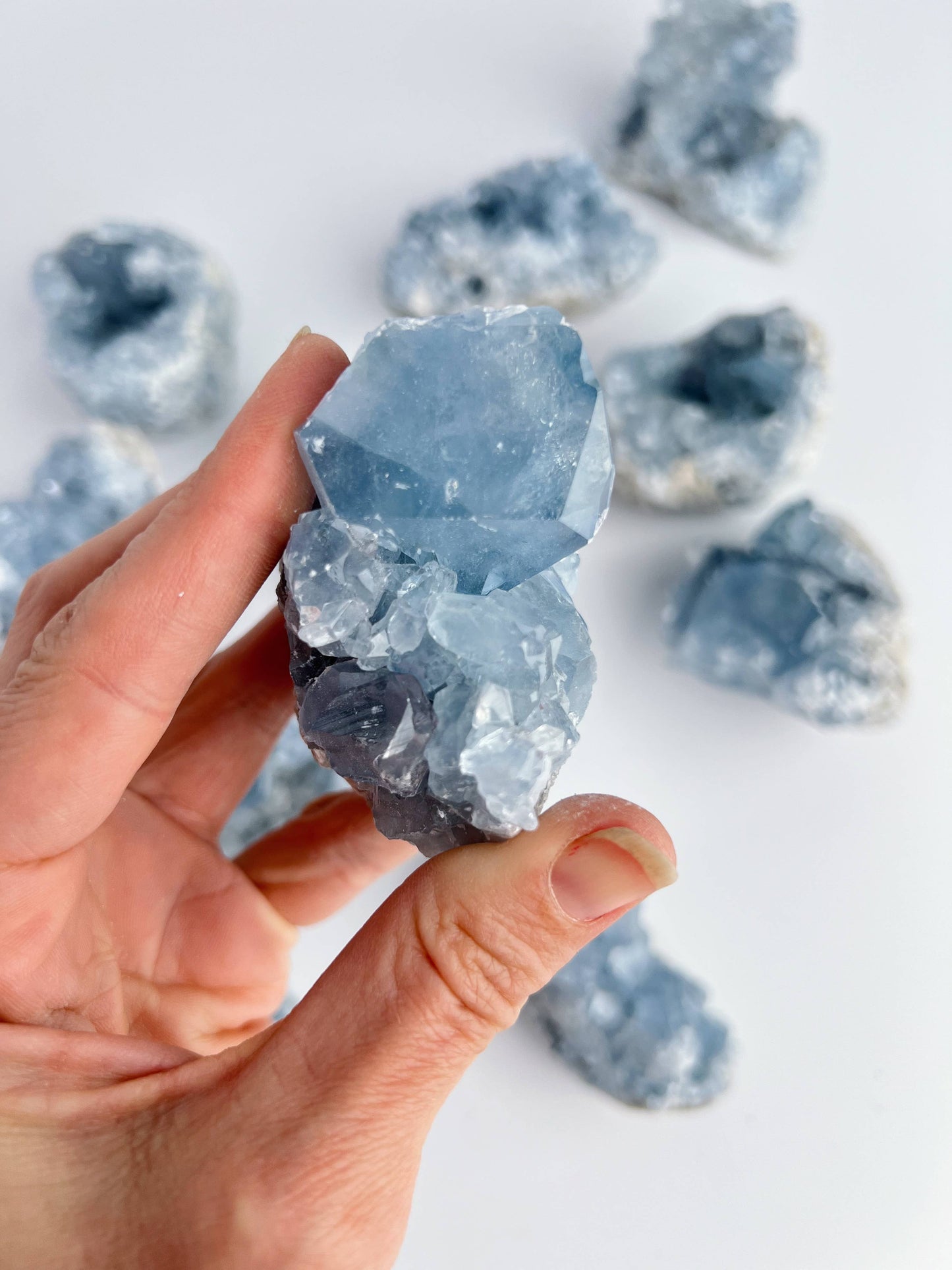 Blue Celestite Crystal Geodes - Small - by Carlyle Avenue