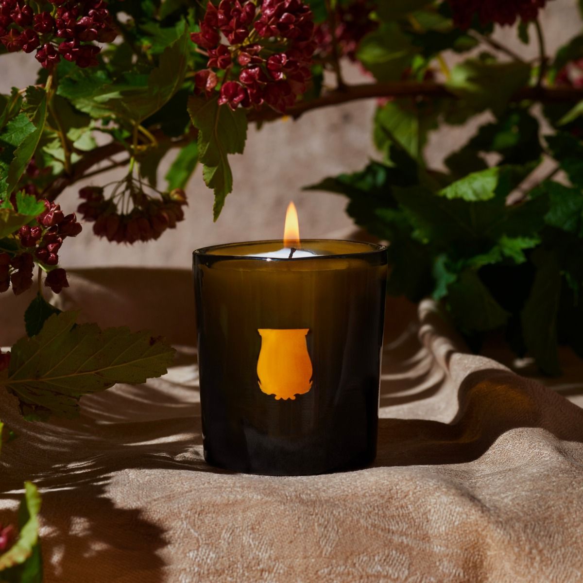 Cyrnos Petite Candle - Candles by Carlyle Avenue
