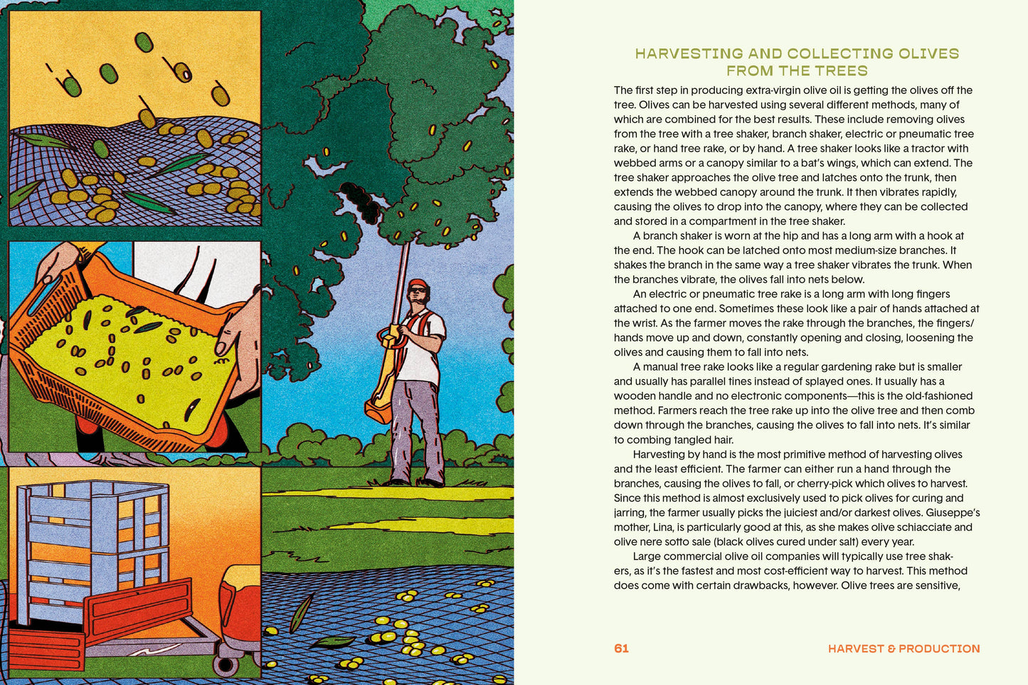 The Olive Oil Enthusiast - by Carlyle Avenue