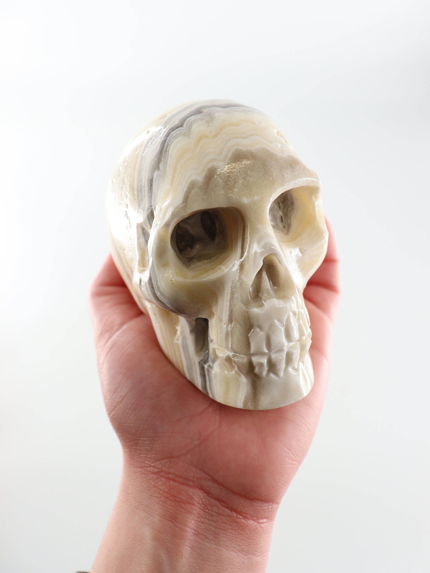 Onyx Skull - by Carlyle Avenue