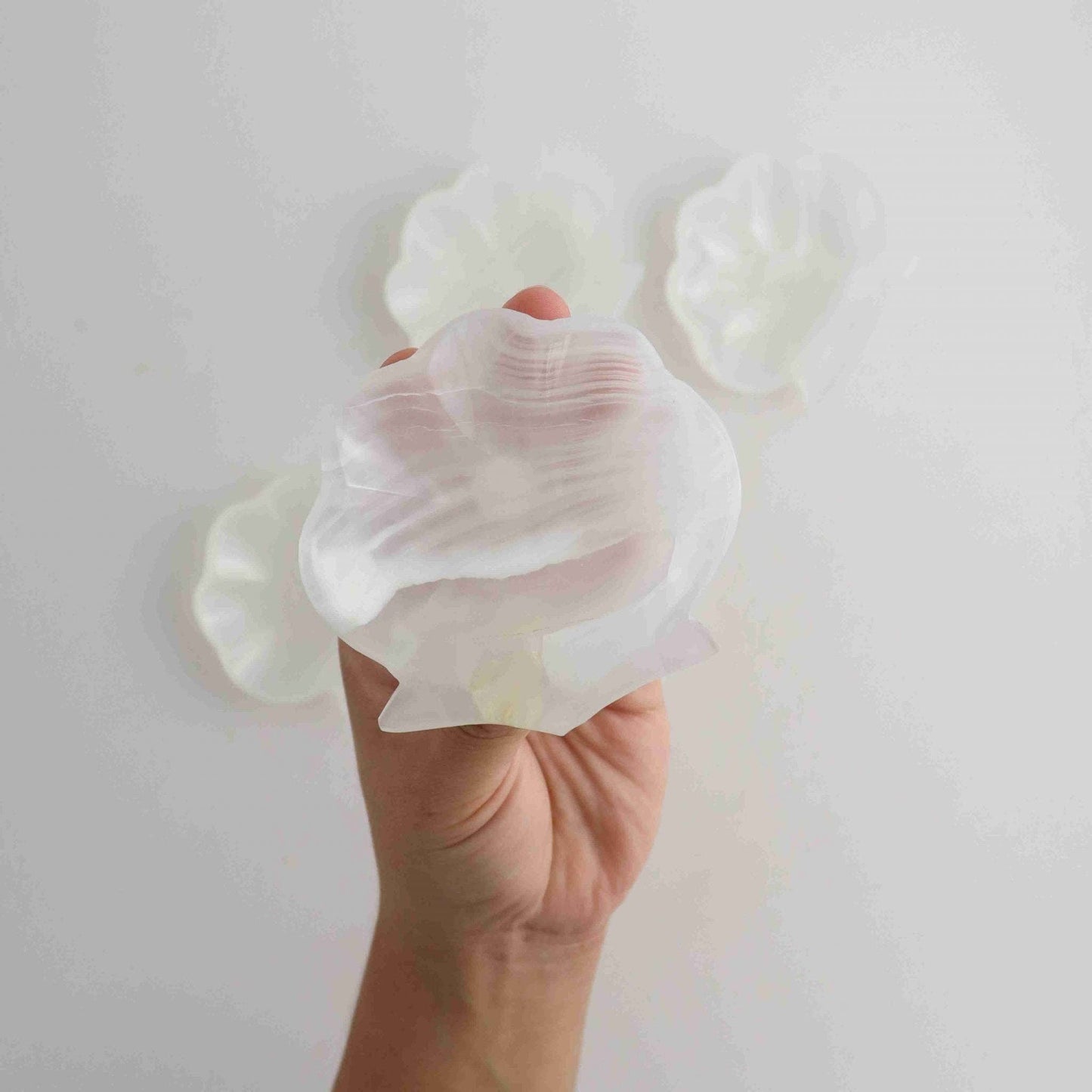 Onyx Shell Trinket Dish