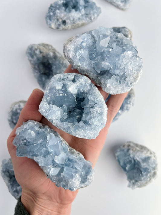 Blue Celestite Crystal Geodes - Large - Decorative Accessories by Carlyle Avenue