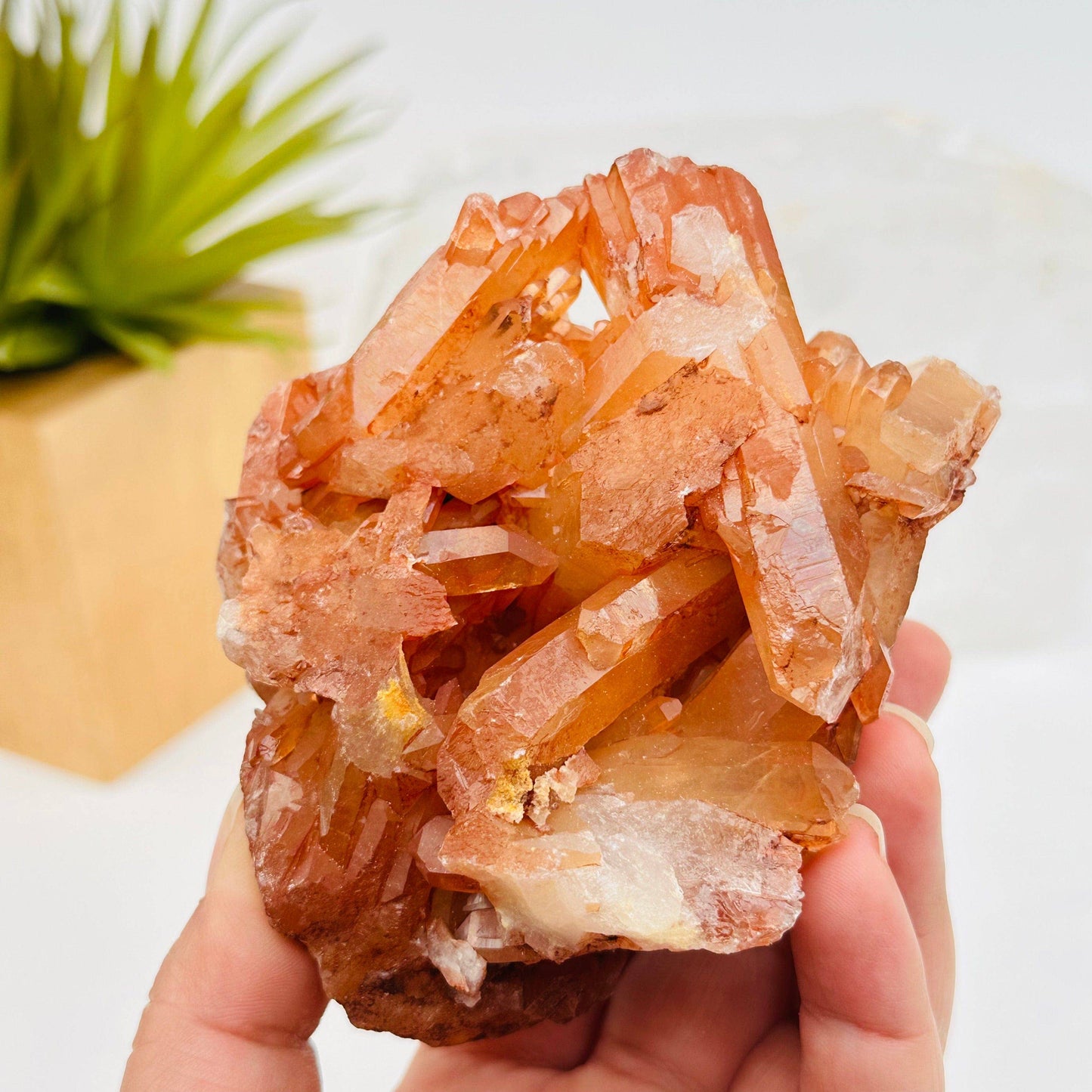 Tangerine Crystal Quartz Clusters