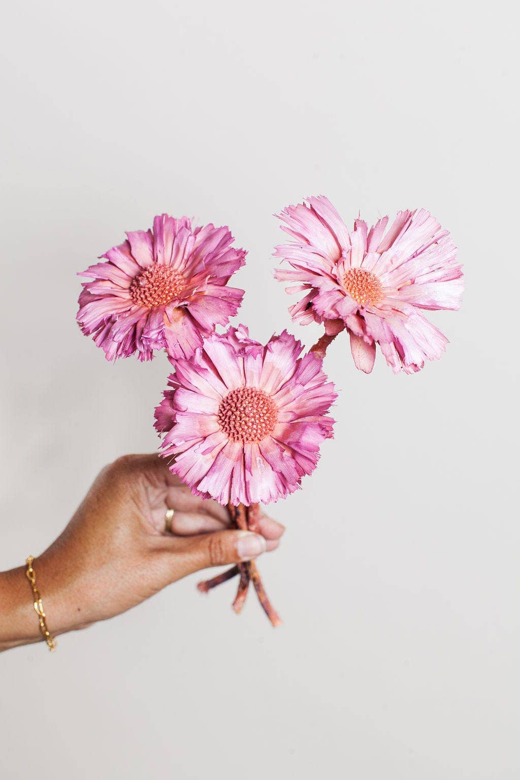 Pink Dried Protea Rosettes - by Carlyle Avenue