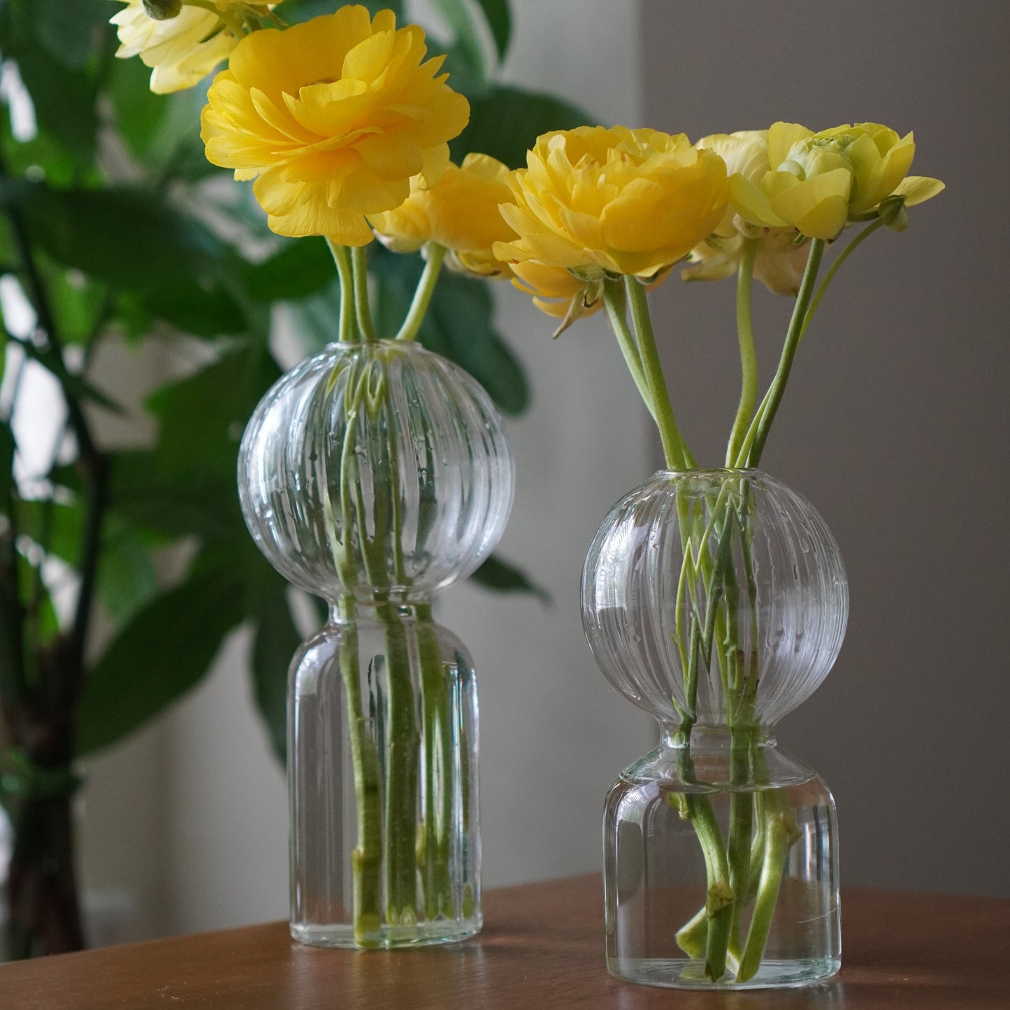 Ritz Single Stem Glass Vase - Clear - Vases by Carlyle Avenue