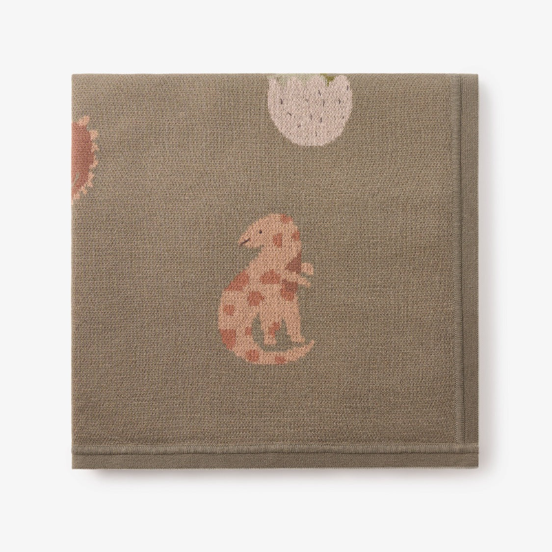 Dinosaur Family Knit Baby Blanket