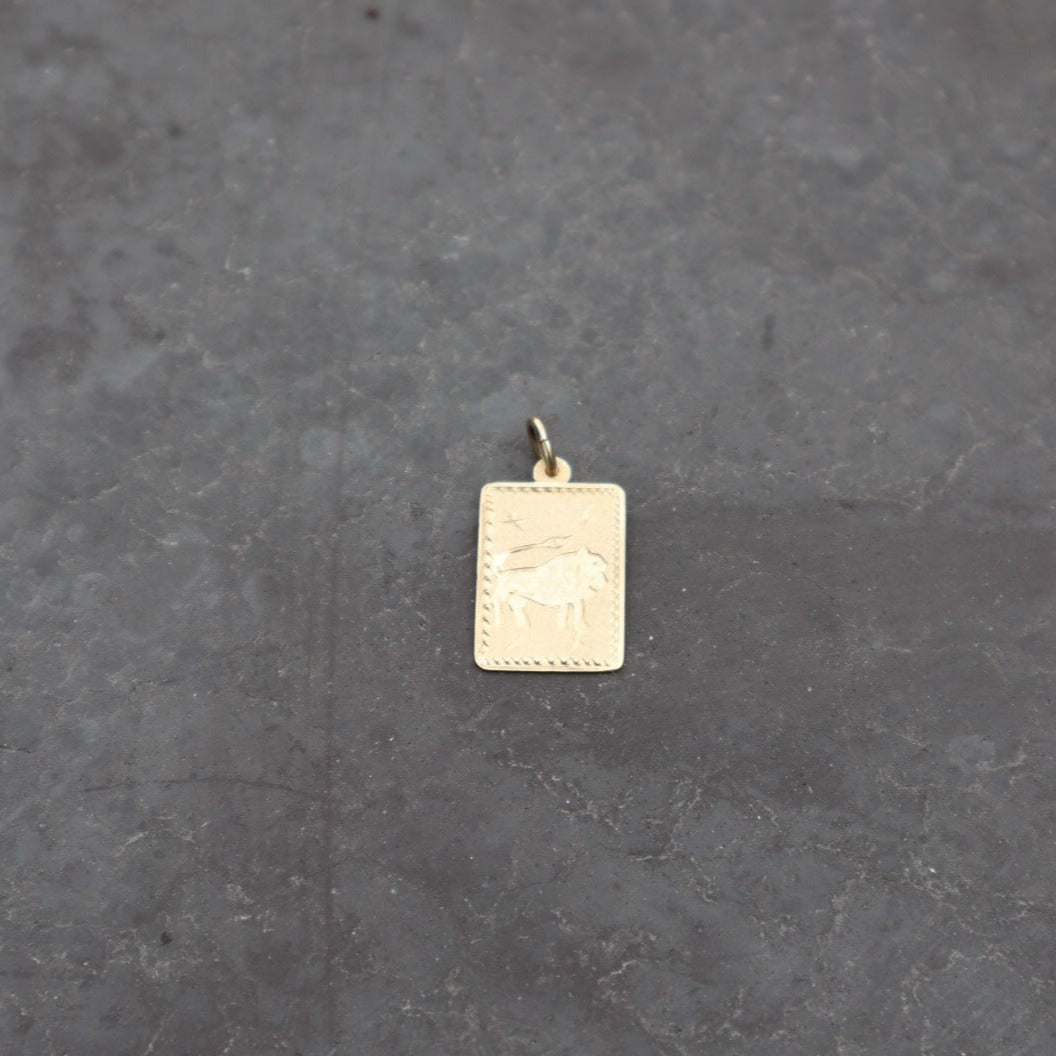 14k Leo Starburst Tarot Pendant - Jewelry by Carlyle Avenue