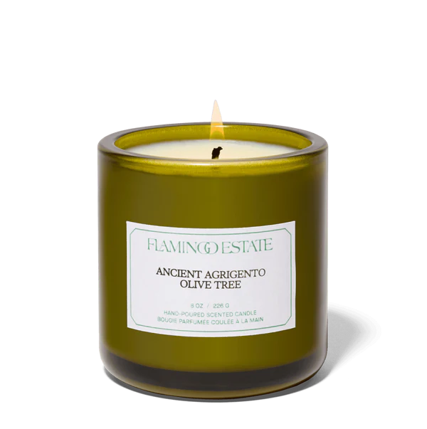 Ancient Agrigento Olive Tree Candle - Home Fragrance by Carlyle Avenue
