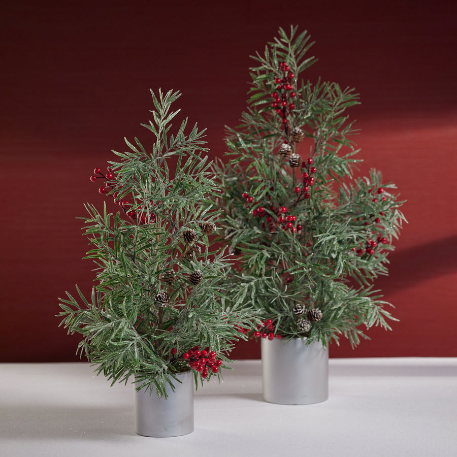 California Pepper Tree in Ceramic Pot - Christmas Decor by Carlyle Avenue
