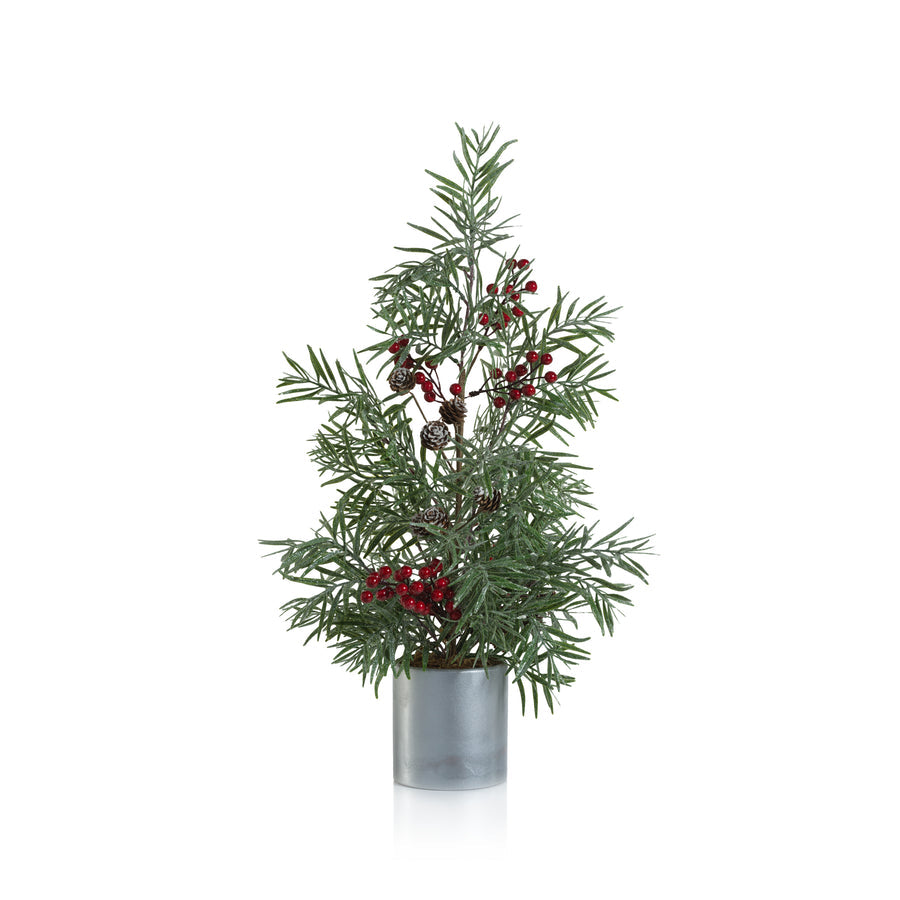 California Pepper Tree in Ceramic Pot - Christmas Decor by Carlyle Avenue
