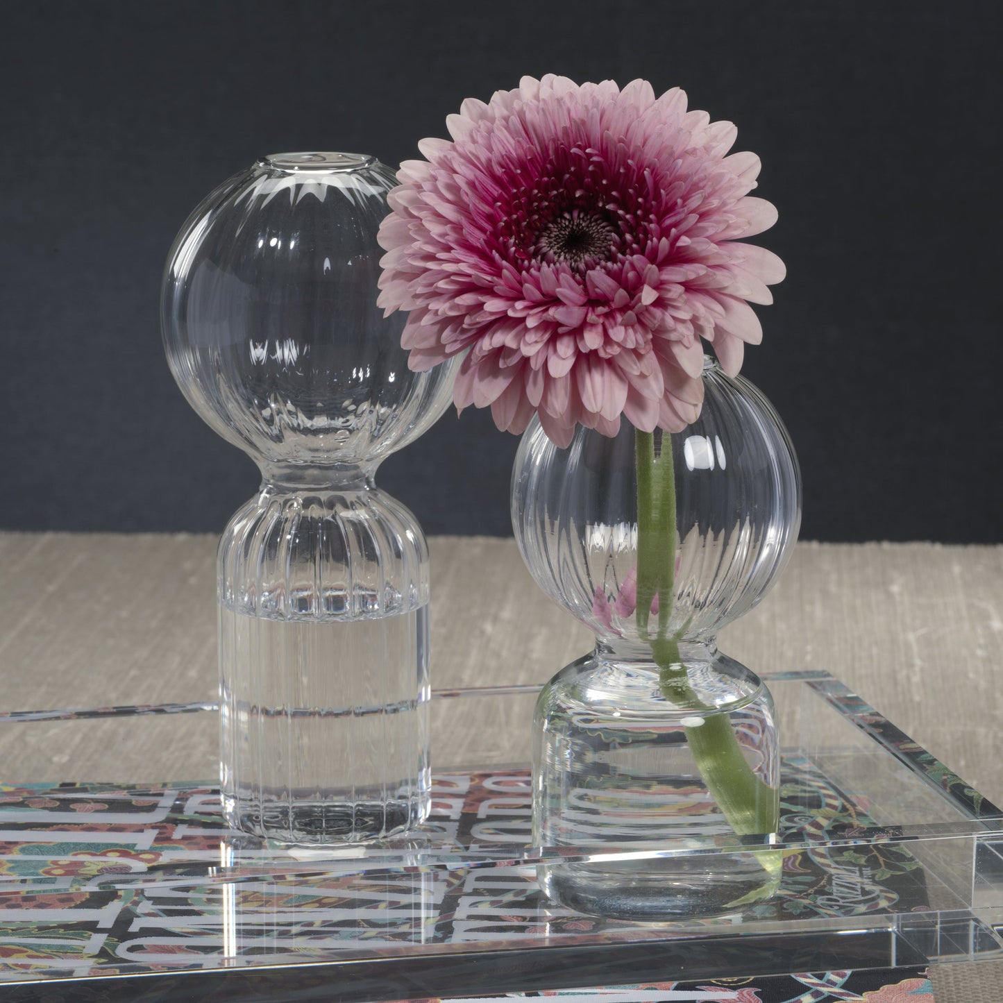 Ritz Single Stem Glass Vase - Clear - Vases by Carlyle Avenue