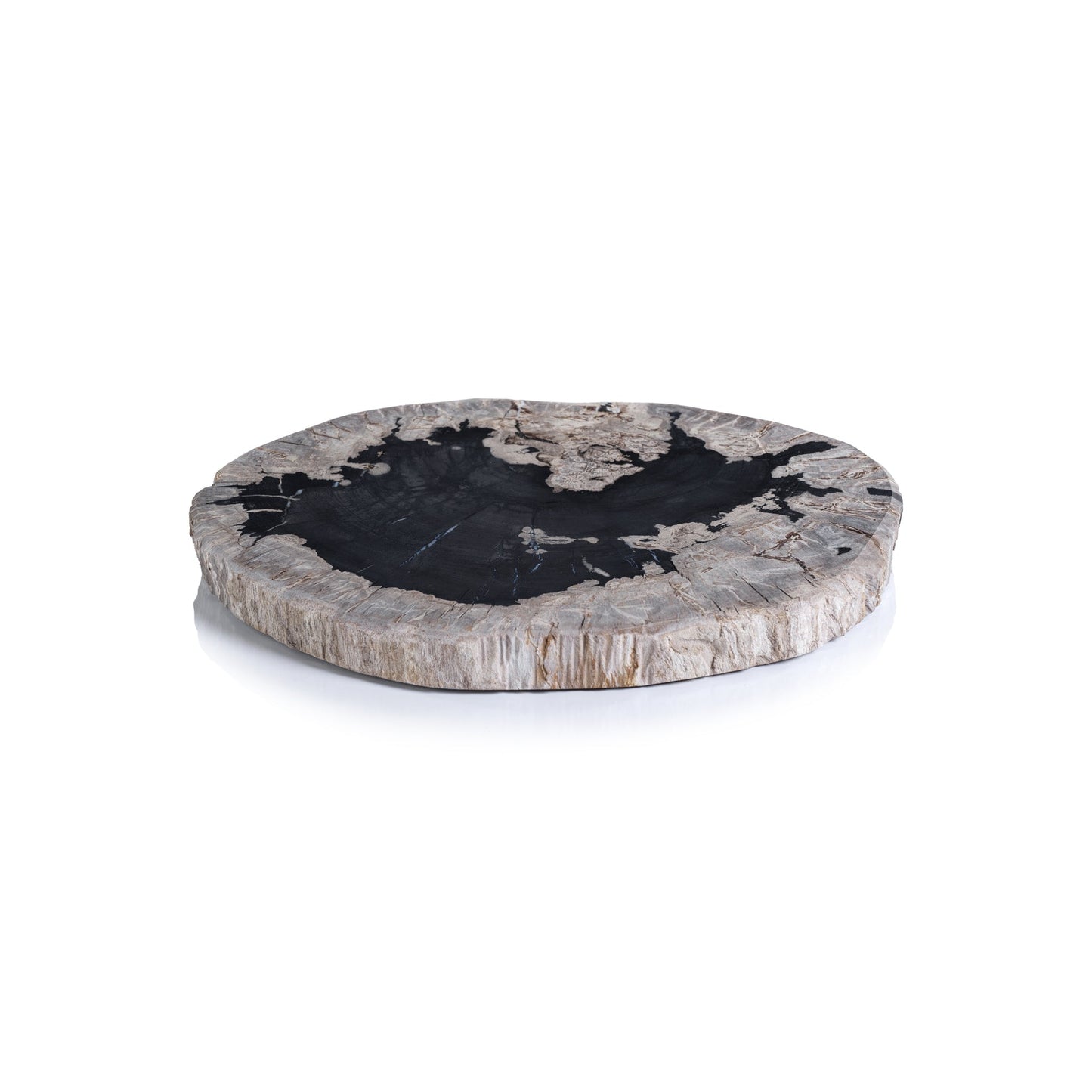 Petrified Wood Cheese Board - Organic Shape - Serveware by Carlyle Avenue