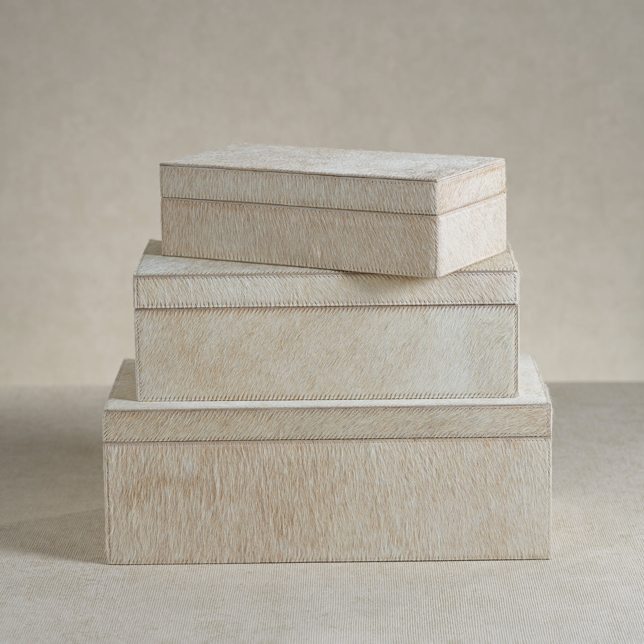 Corviglia Hair-On Hide Leather Box - Tan - Boxes by Carlyle Avenue