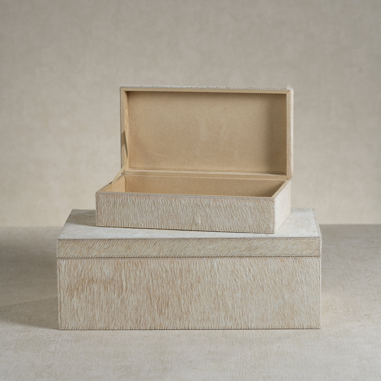 Corviglia Hair-On Hide Leather Box - Tan - Boxes by Carlyle Avenue