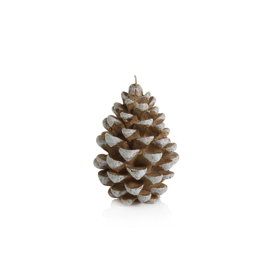 Pine Cone Candle - Candles by Carlyle Avenue