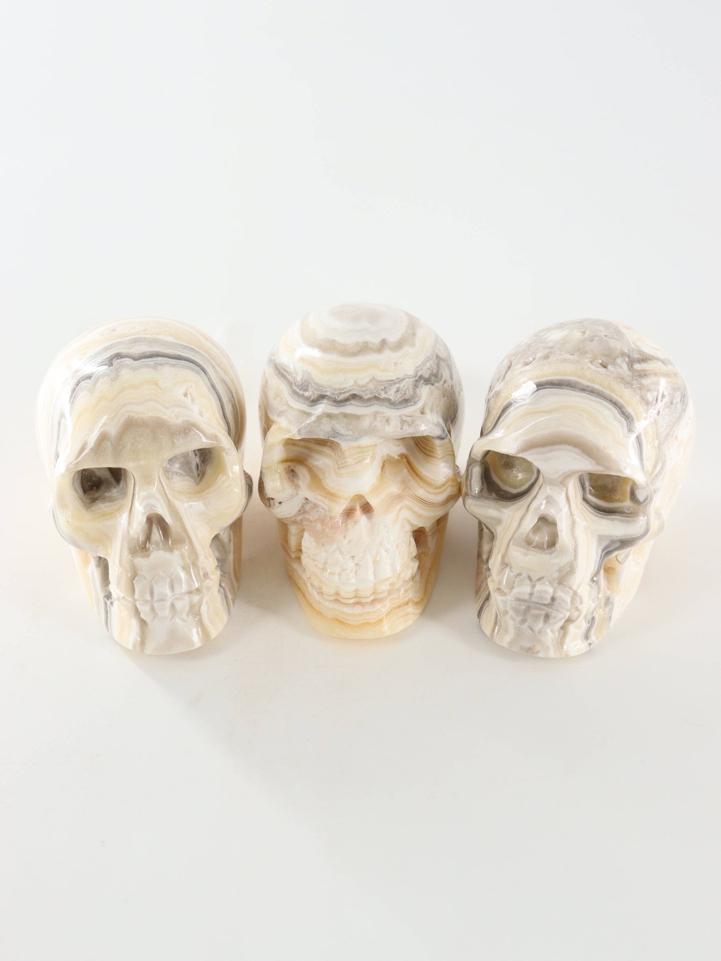 Onyx Skull - by Carlyle Avenue
