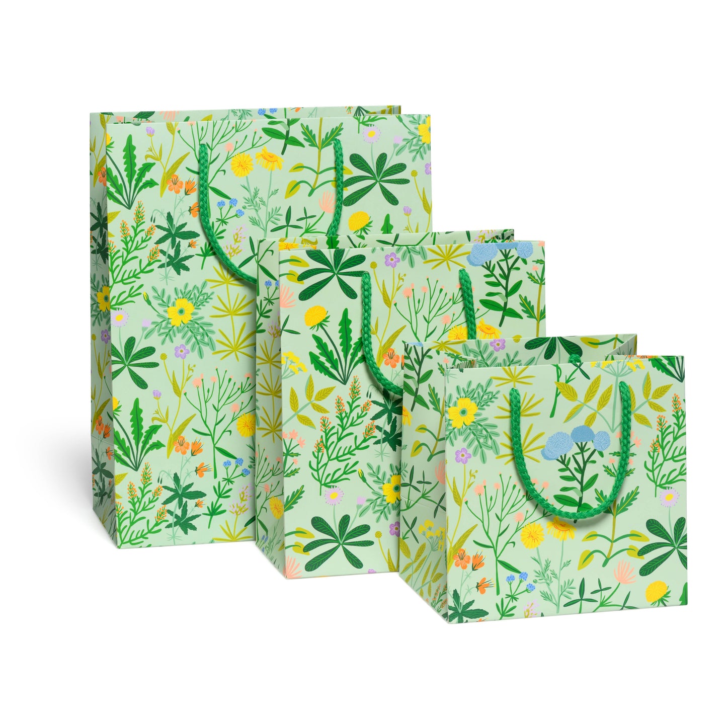 Growing Wild gift bags - by Carlyle Avenue