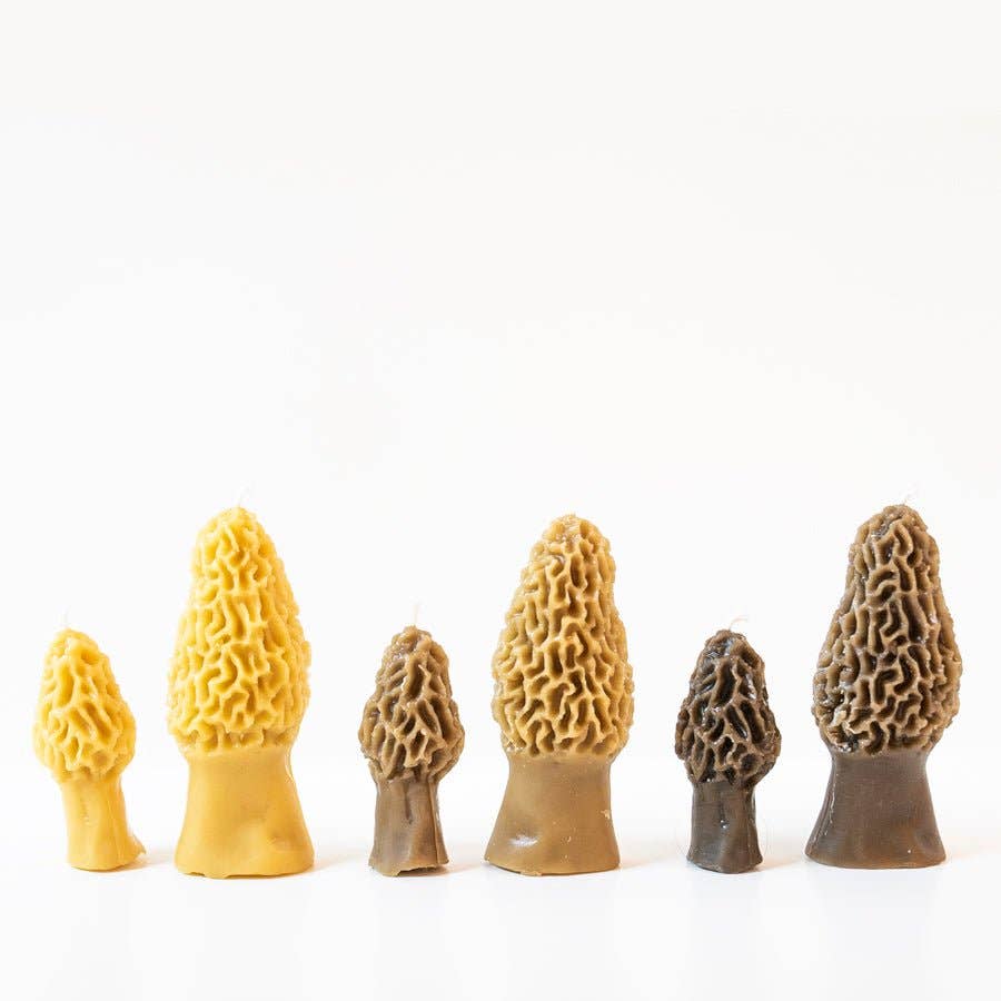 Morel Mushroom Beeswax Candle 2-pack - by Carlyle Avenue