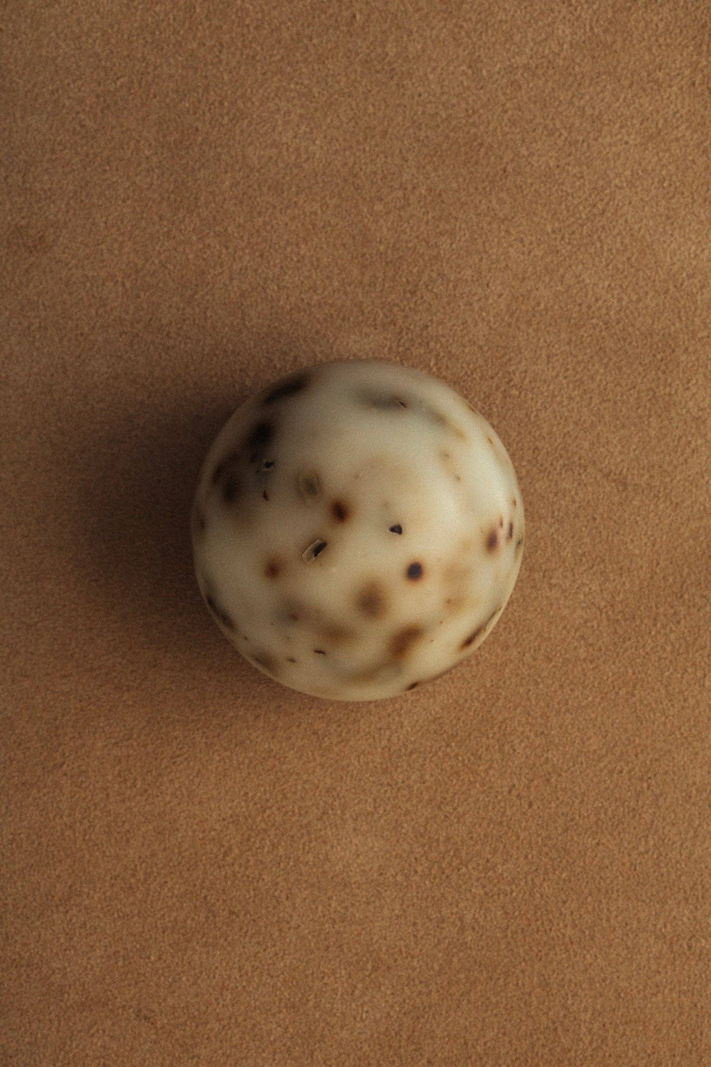 Sea Change Seaweed Sphere Soap - Regenerative Tallow®- 3.5oz - by Carlyle Avenue