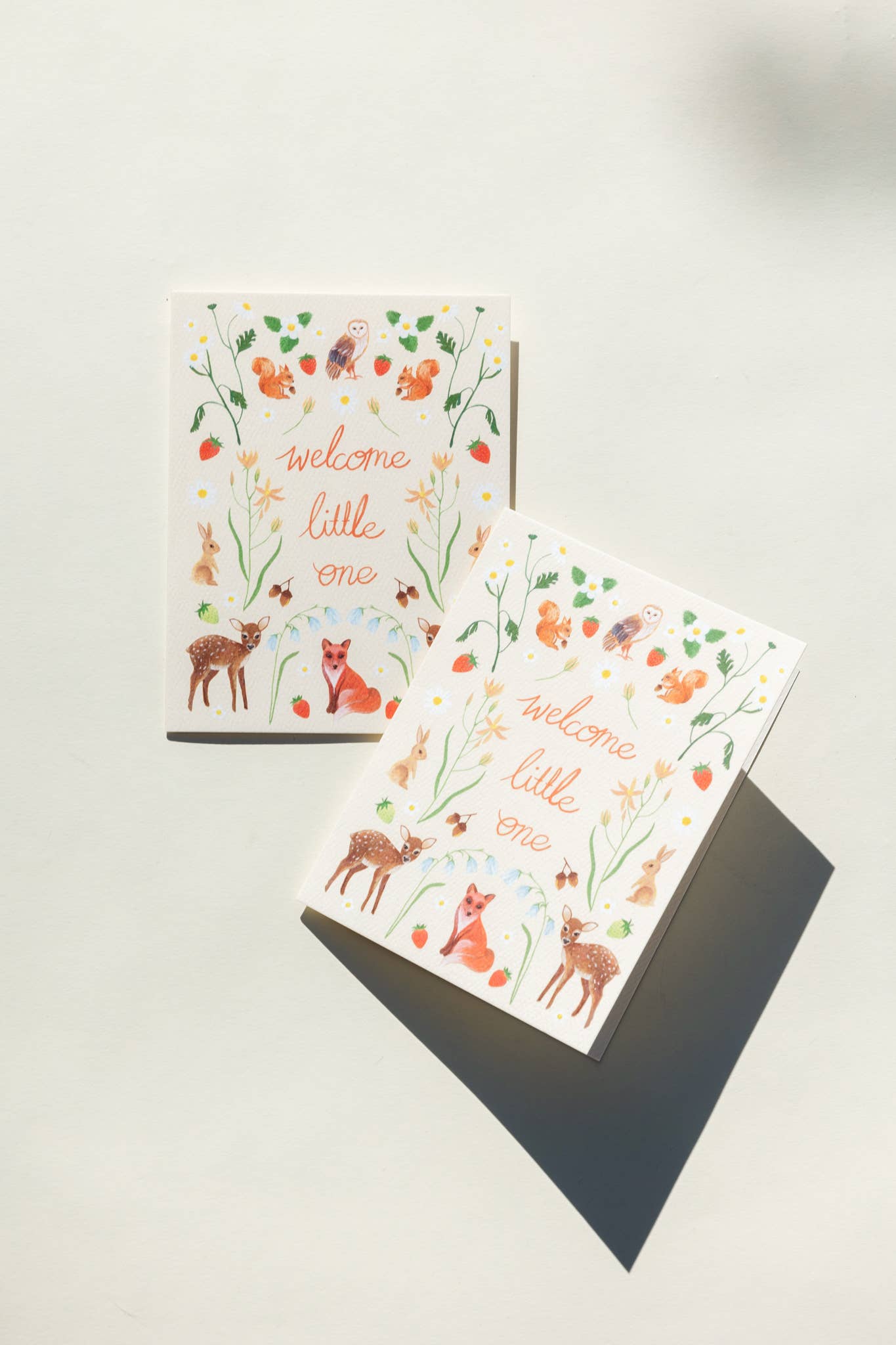 Flora Fauna Baby Card - Greeting Cards by Carlyle Avenue
