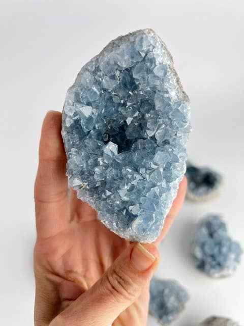 Blue Celestite Crystal Geodes - Decorative Accessories by Carlyle Avenue