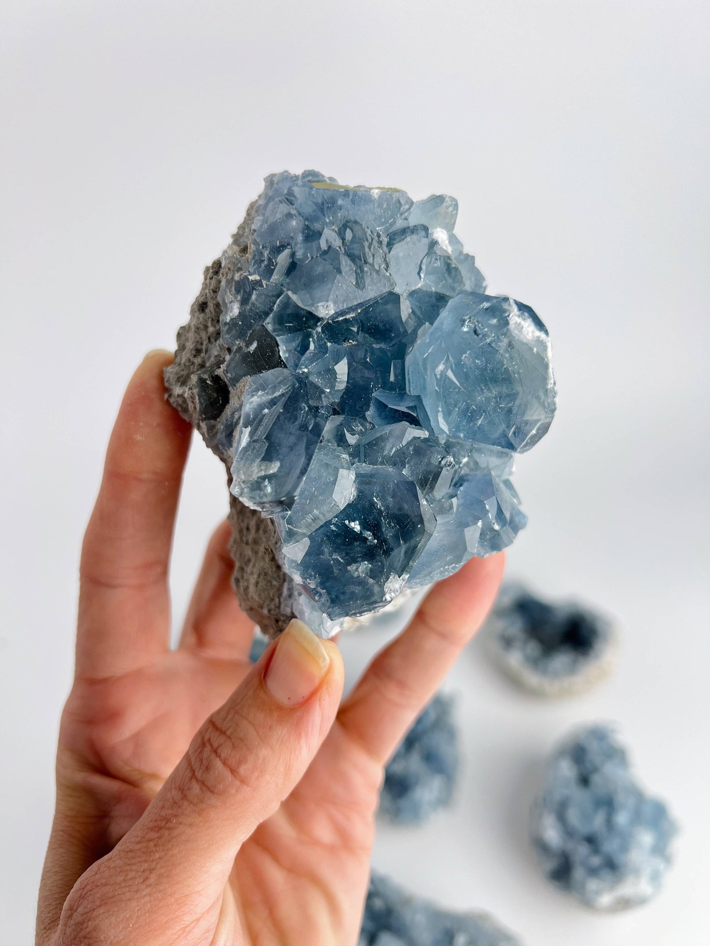 Blue Celestite Crystal Geodes - Small - by Carlyle Avenue