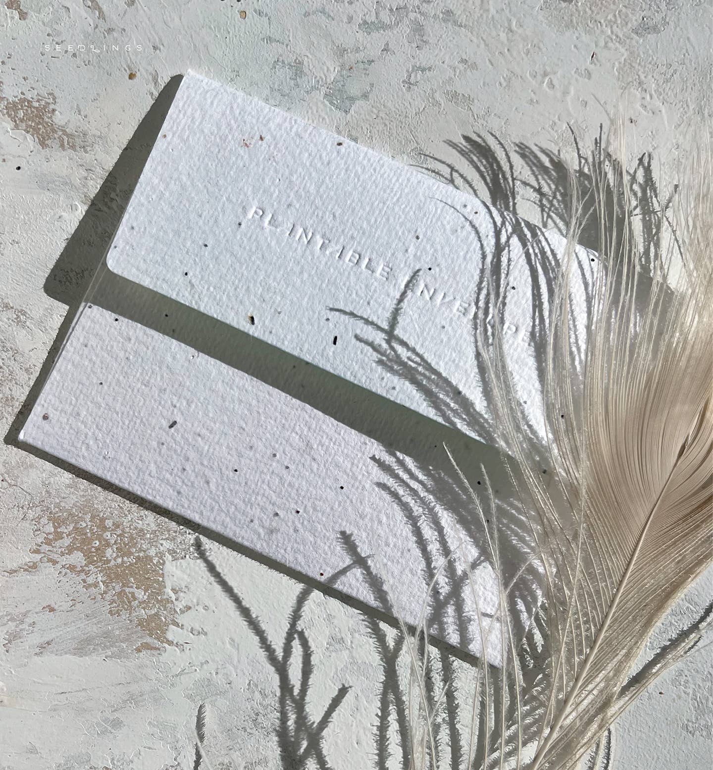 Morning Desert Light - Birthday Card - by Carlyle Avenue