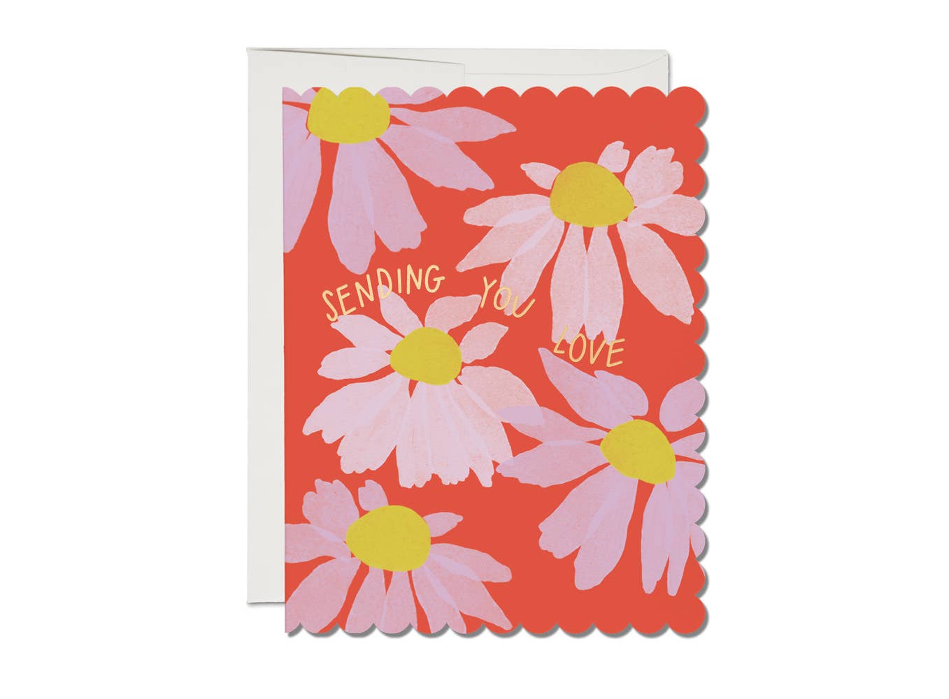 Scalloped Coneflower sympathy greeting card - by Carlyle Avenue