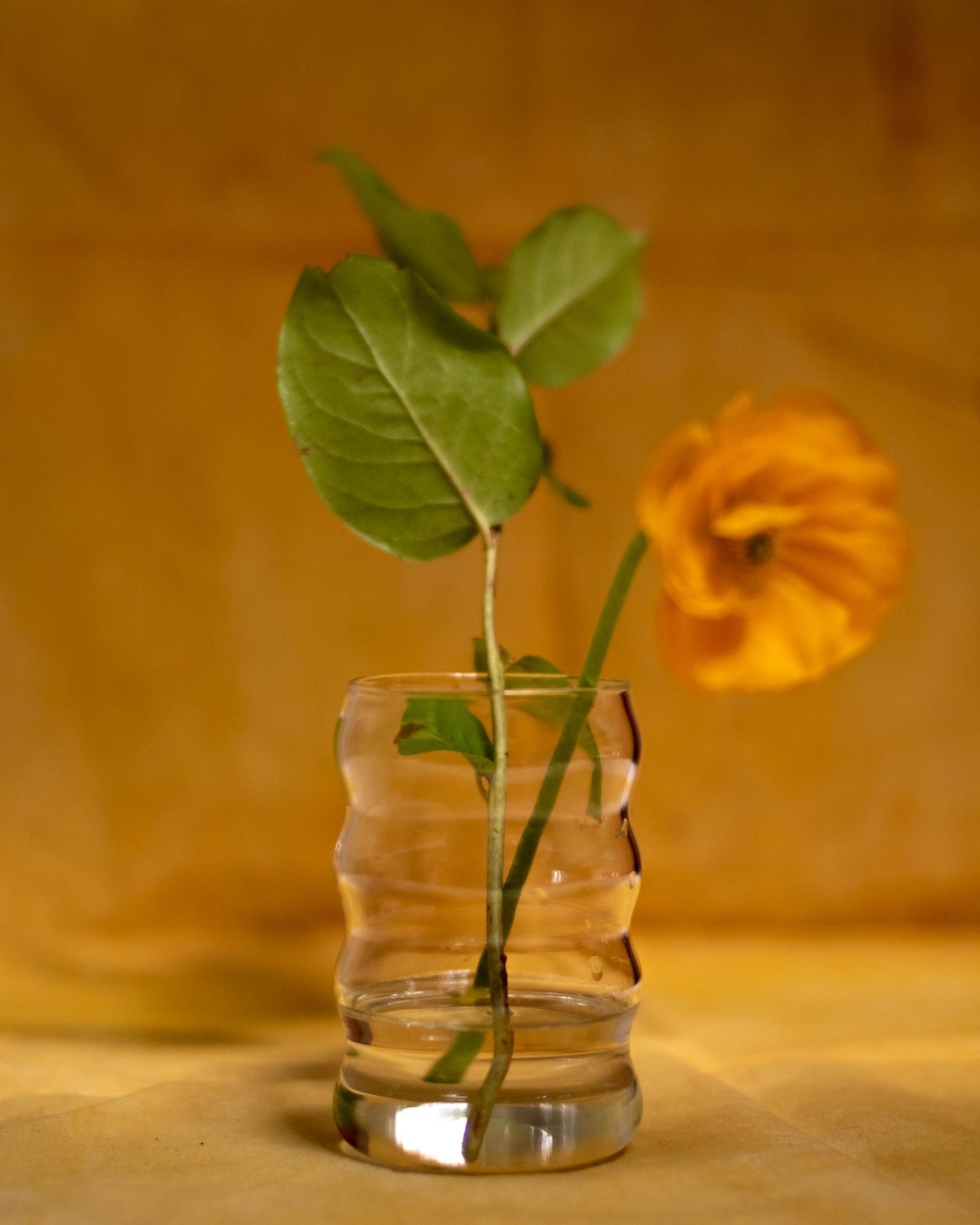 12oz Ripple Cup, Clear - Glassware by Carlyle Avenue