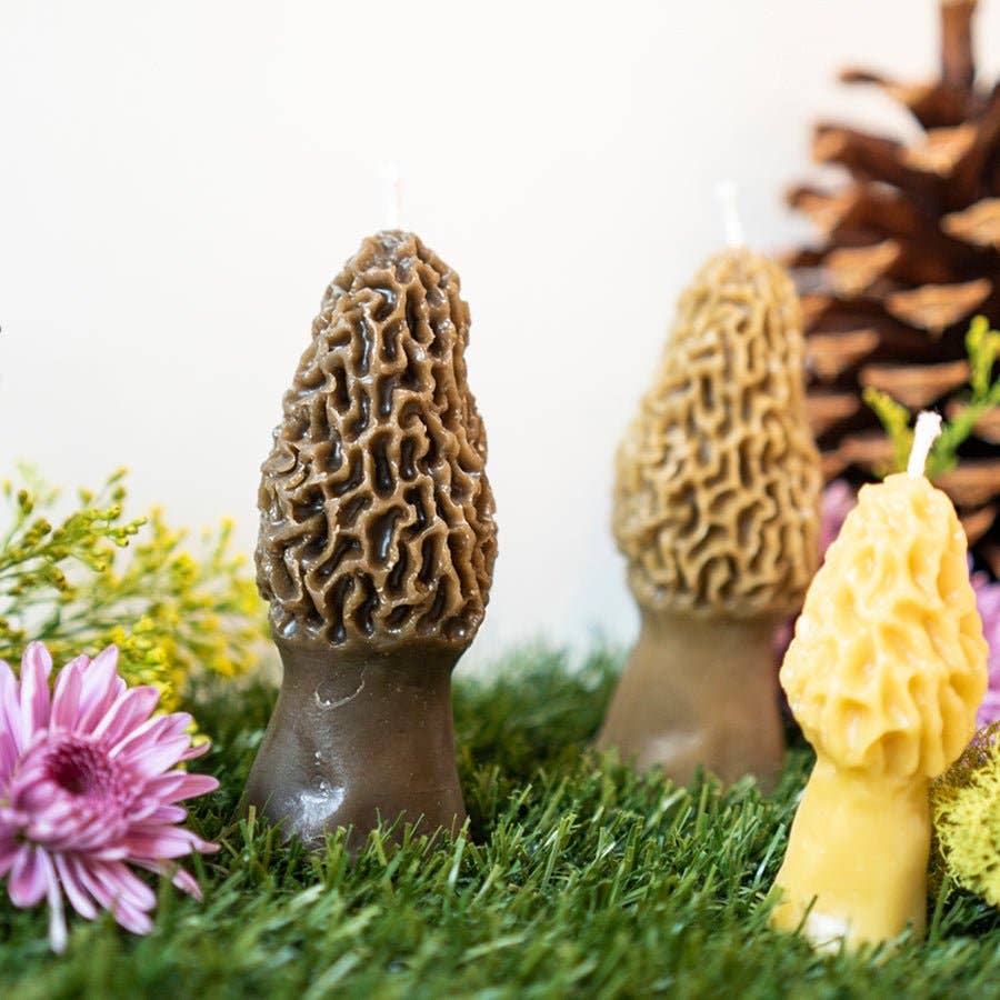 Morel Mushroom Beeswax Candle 2-pack - by Carlyle Avenue
