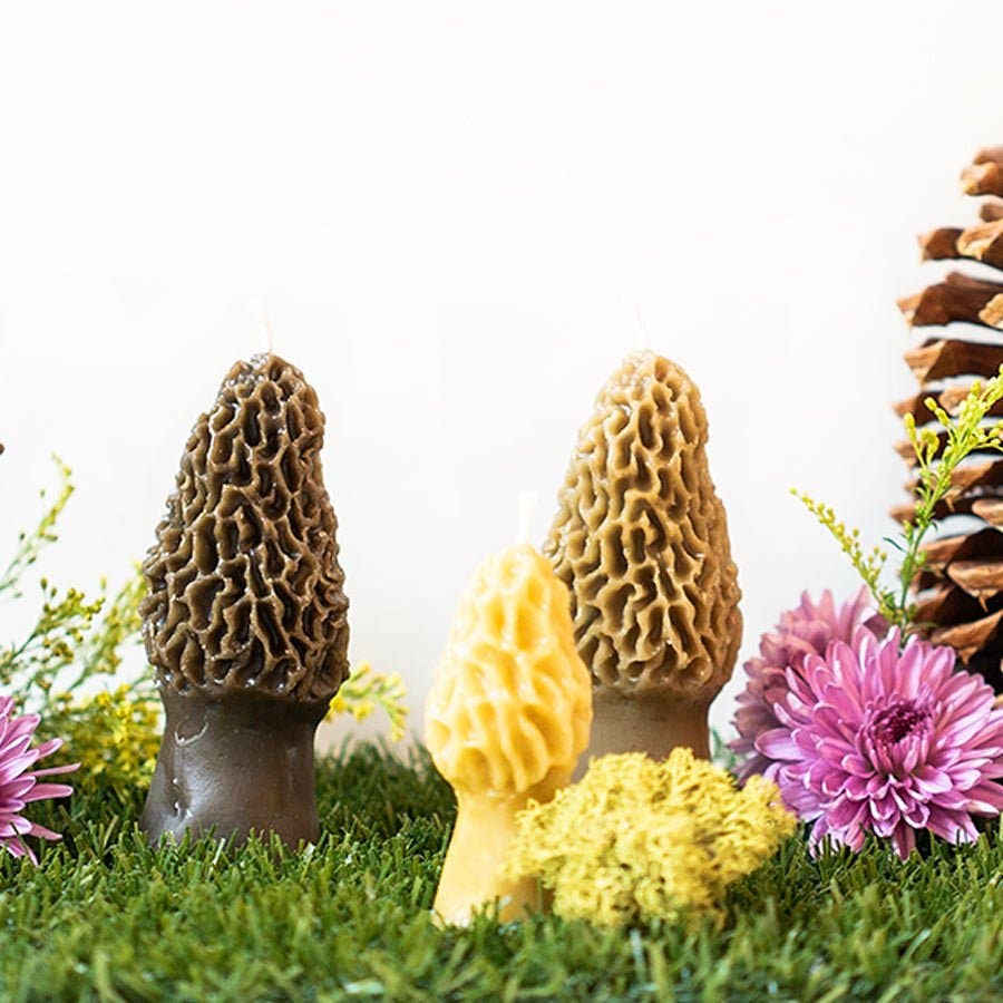 Morel Mushroom Beeswax Candle 2-pack - by Carlyle Avenue
