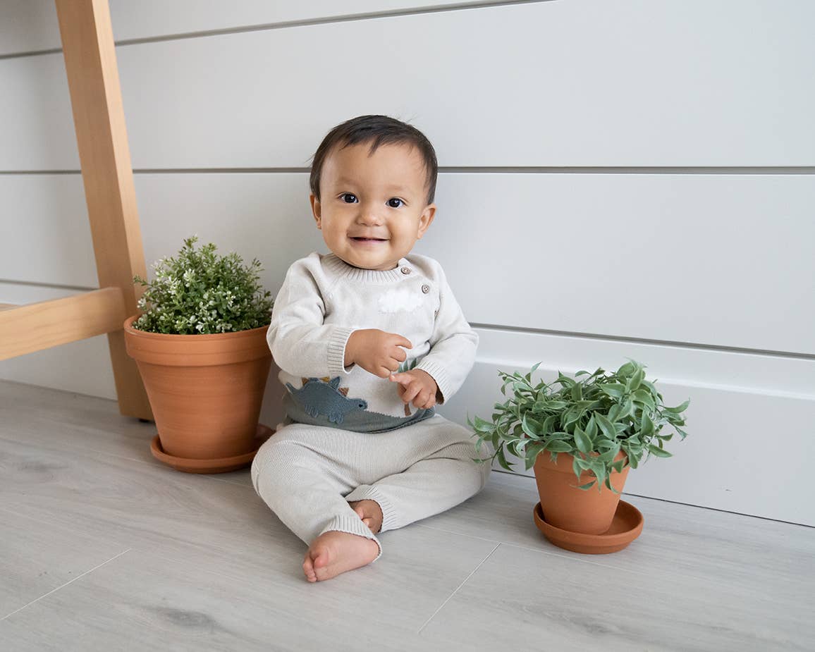 Dino Applique Button Baby Pullover Sweater (Organic): Stone / 12-18 - by Carlyle Avenue