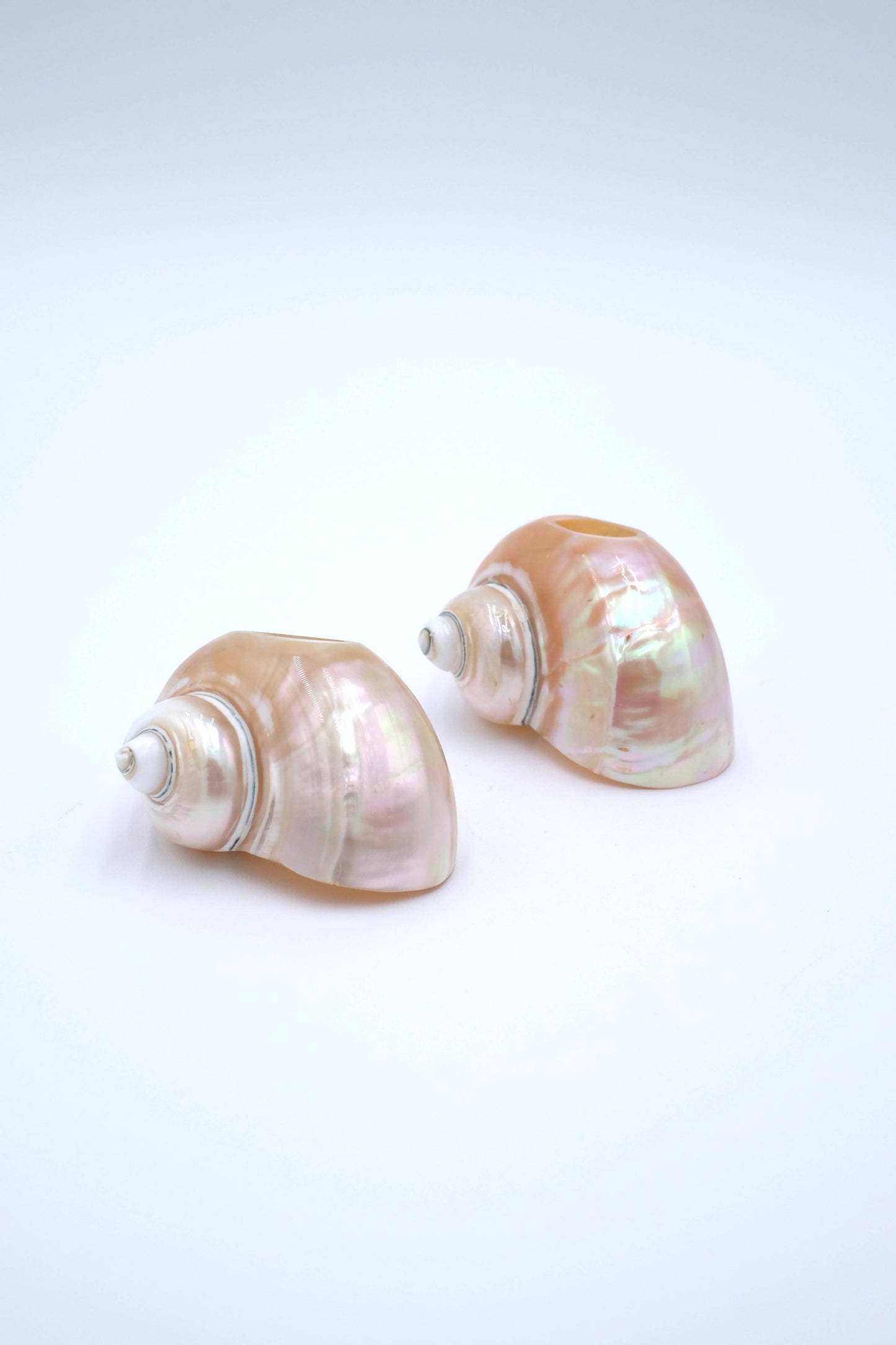 Seashell Napkin Rings, Set of 4 - Napkin Rings by Carlyle Avenue