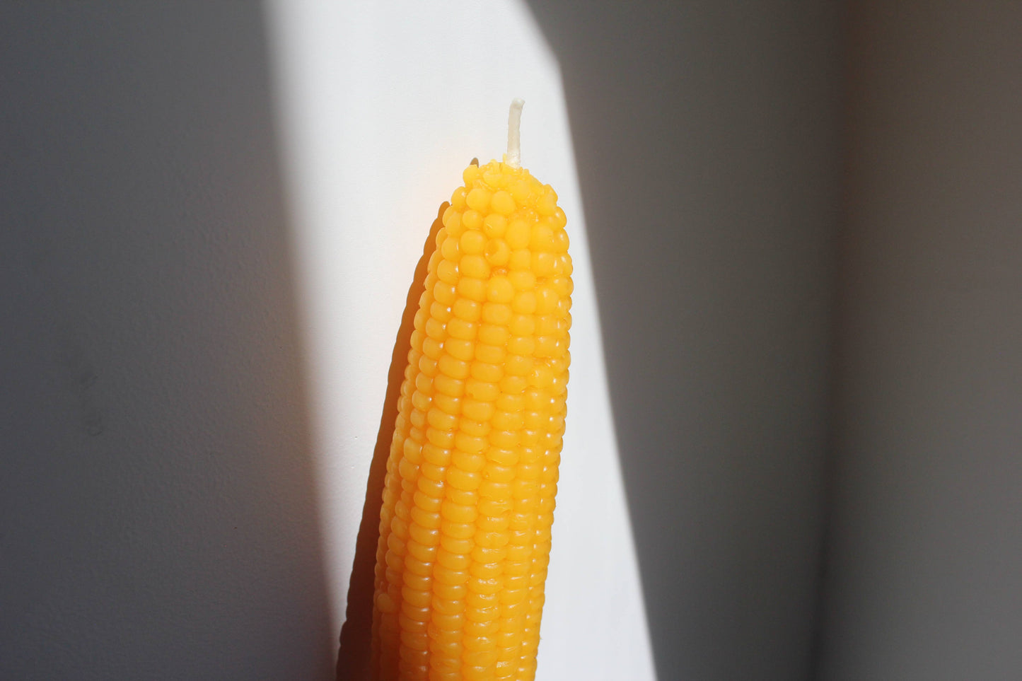 Sweet Maíz Fall Harvest Table Beeswax Candles - by Carlyle Avenue