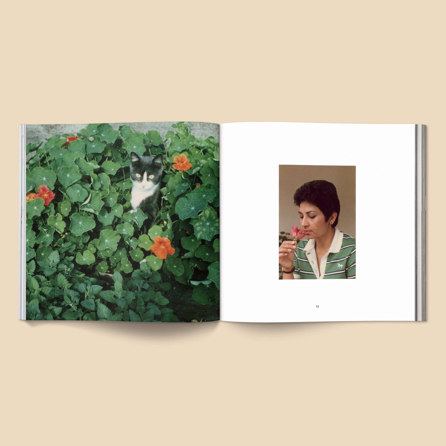 Forgotten Flowers Coffee Table Book - Books by Carlyle Avenue