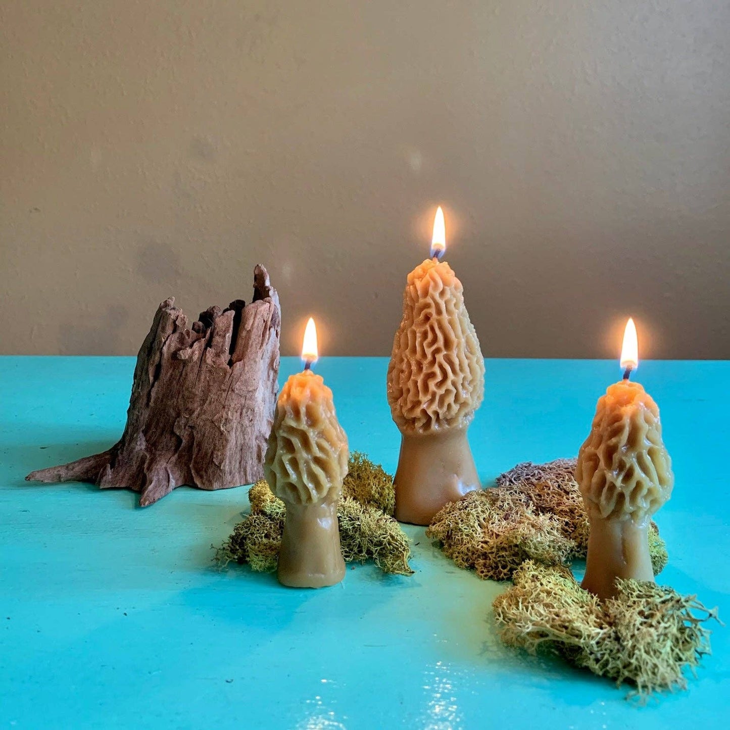 Morel Mushroom Beeswax Candle 2-pack - by Carlyle Avenue