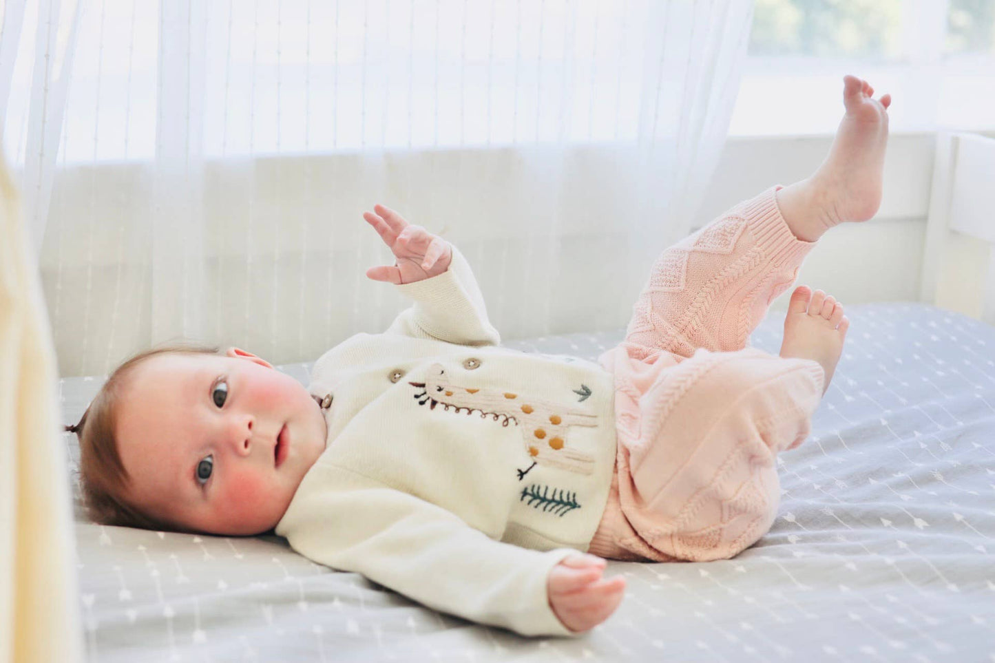 Animal Safari Embroidered Baby Cardigan Sweater (Organic) - by Carlyle Avenue