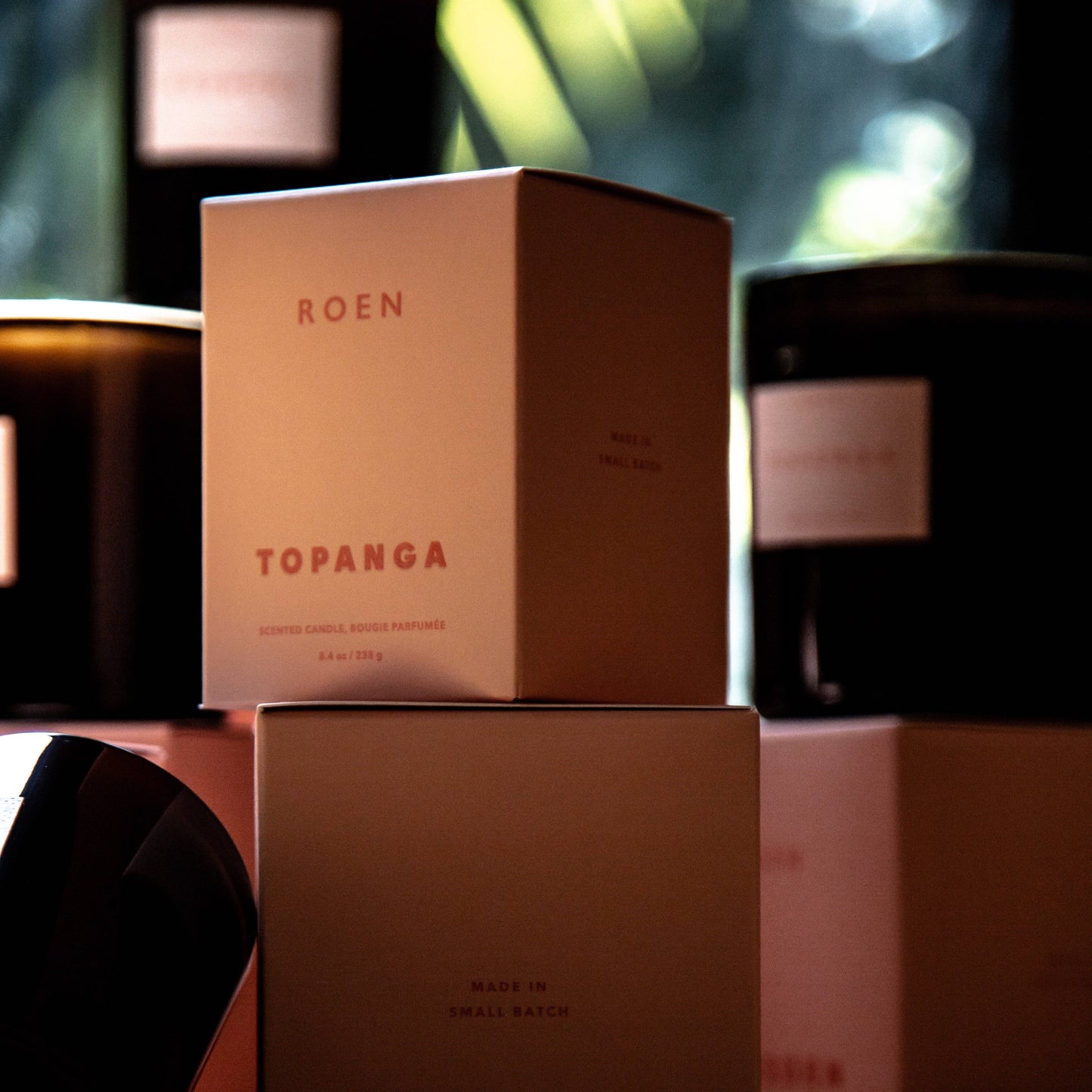TOPANGA - by Carlyle Avenue