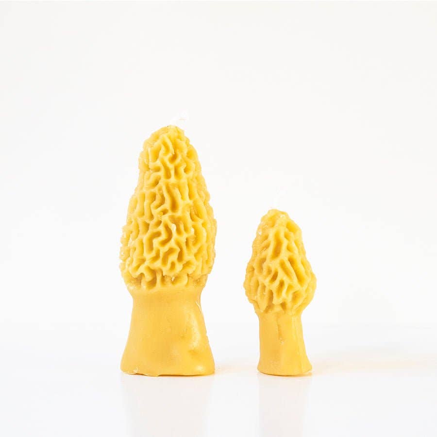 Morel Mushroom Beeswax Candle 2-pack - by Carlyle Avenue