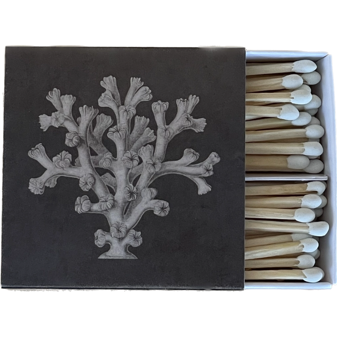 Nue Matches - Coral - Matches by Carlyle Avenue