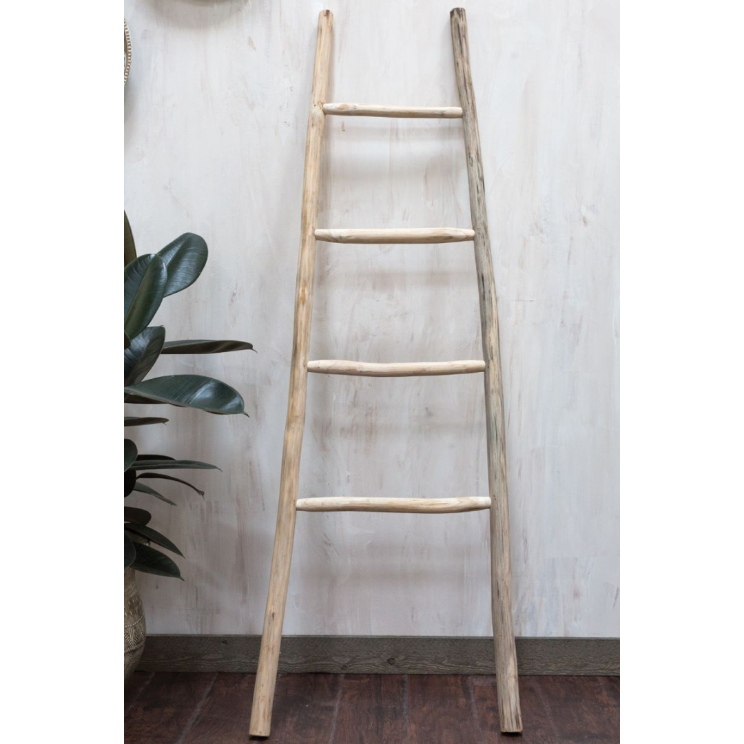 Kanu Ladder - Decorative Accessories by Carlyle Avenue