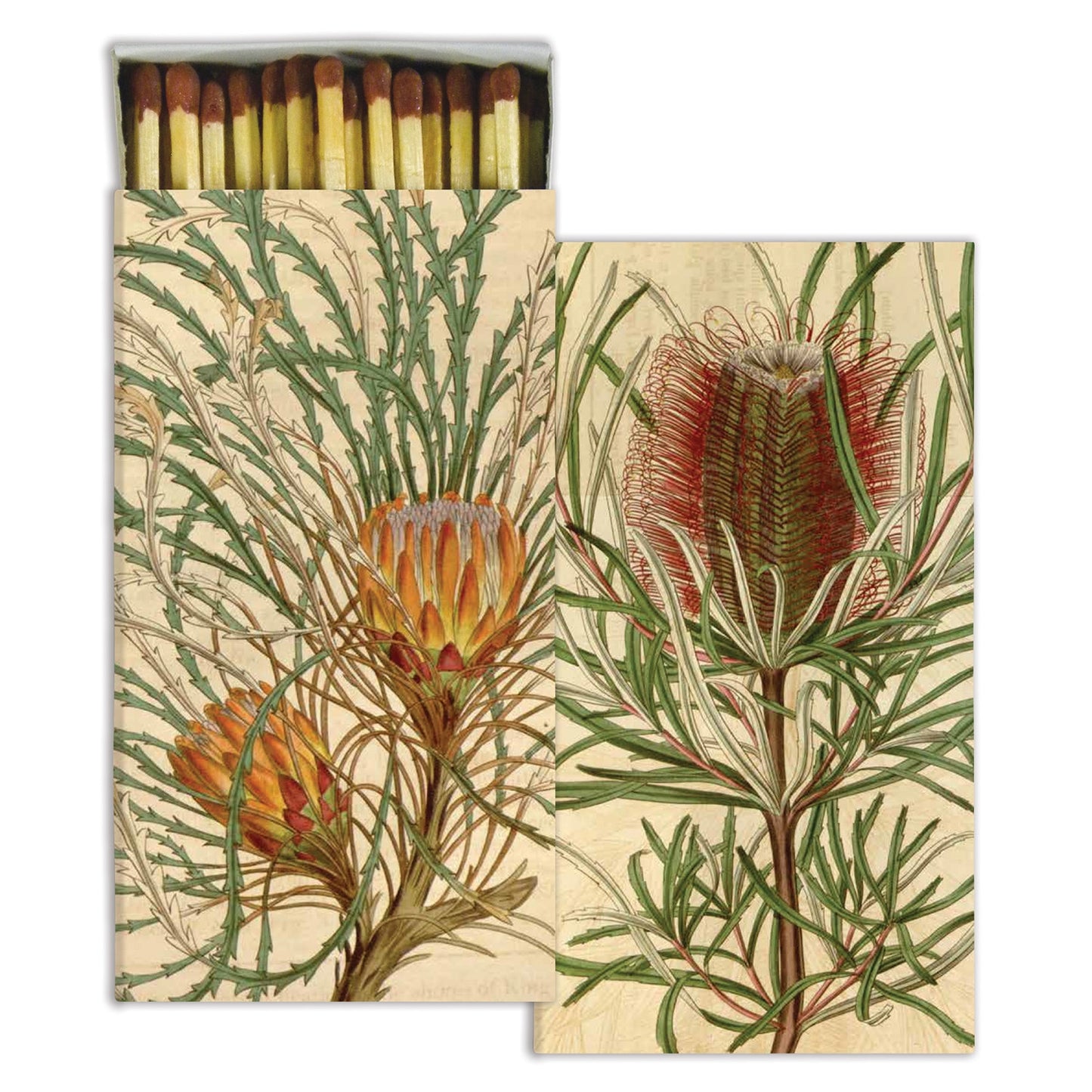 Matches - Protea - Matches by Carlyle Avenue